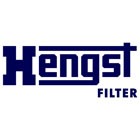 Hengst